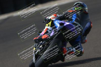 media/Oct-12-2025-CRA (Sun) [[e621380112]]/Races/Race 8/